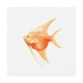 thumbnail image 1 of Trademark Fine Art 'Discus Fish III' Canvas Art by Emma Scarvey, 1 of 3