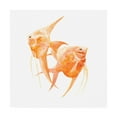 thumbnail image 1 of Trademark Fine Art 'Discus Fish IV' Canvas Art by Emma Scarvey, 1 of 3