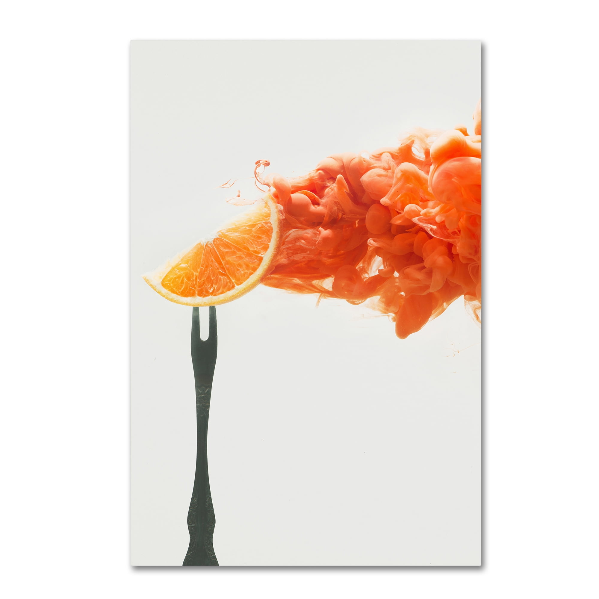 Trademark Fine Art 'Disintegrated Orange' Canvas Art by Dina Belenko