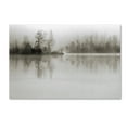 thumbnail image 1 of Trademark Fine Art 'Dissolution' Canvas Art by Henrik Spranz, 1 of 3