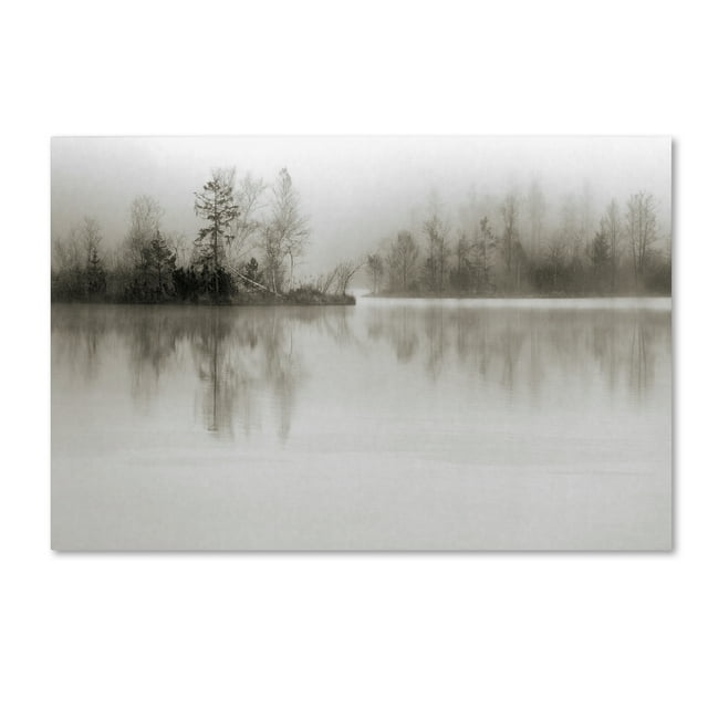 Trademark Fine Art 'Dissolution' Canvas Art by Henrik Spranz