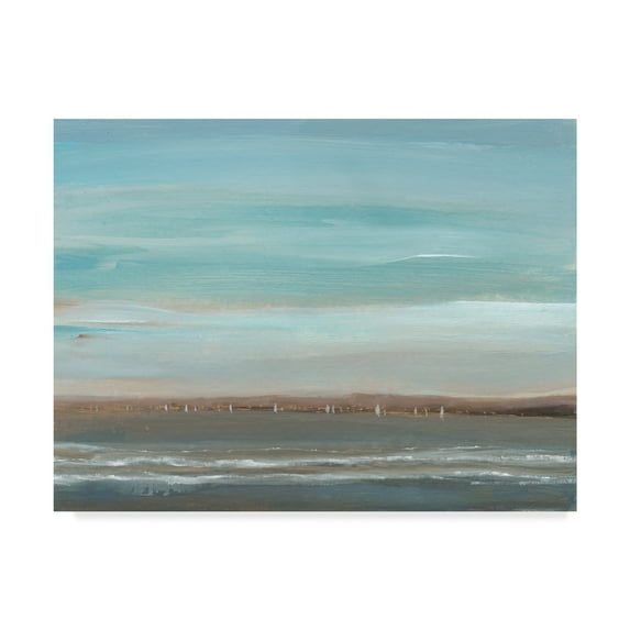 Trademark Fine Art 'Distant Coast II' Canvas Art by Tim OToole