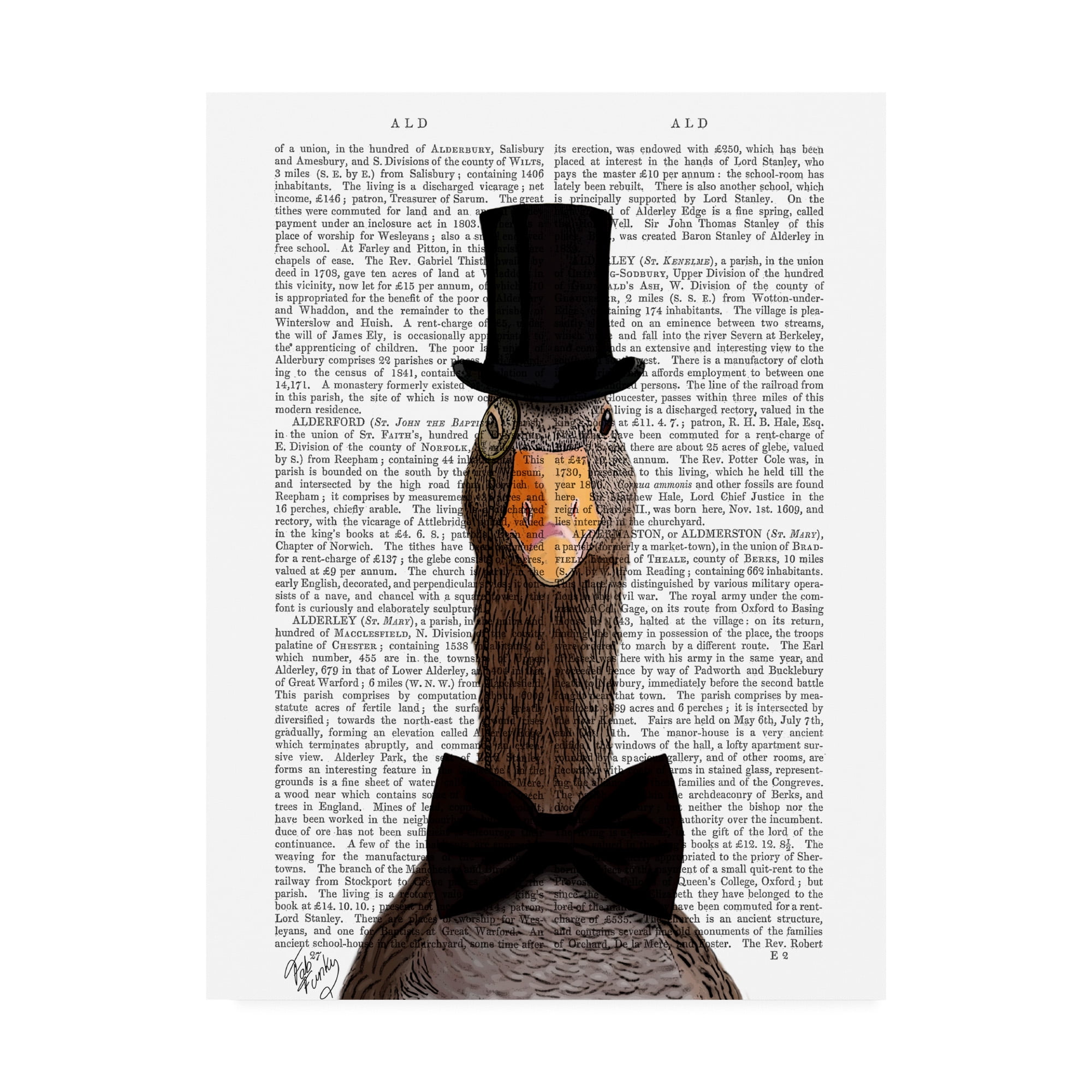 Trademark Fine Art 'Distinguished Goose' Canvas Art by Fab Funky
