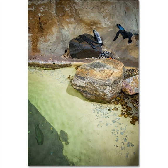 Trademark Fine Art "Dive Break" Canvas Art by Yale Gurney