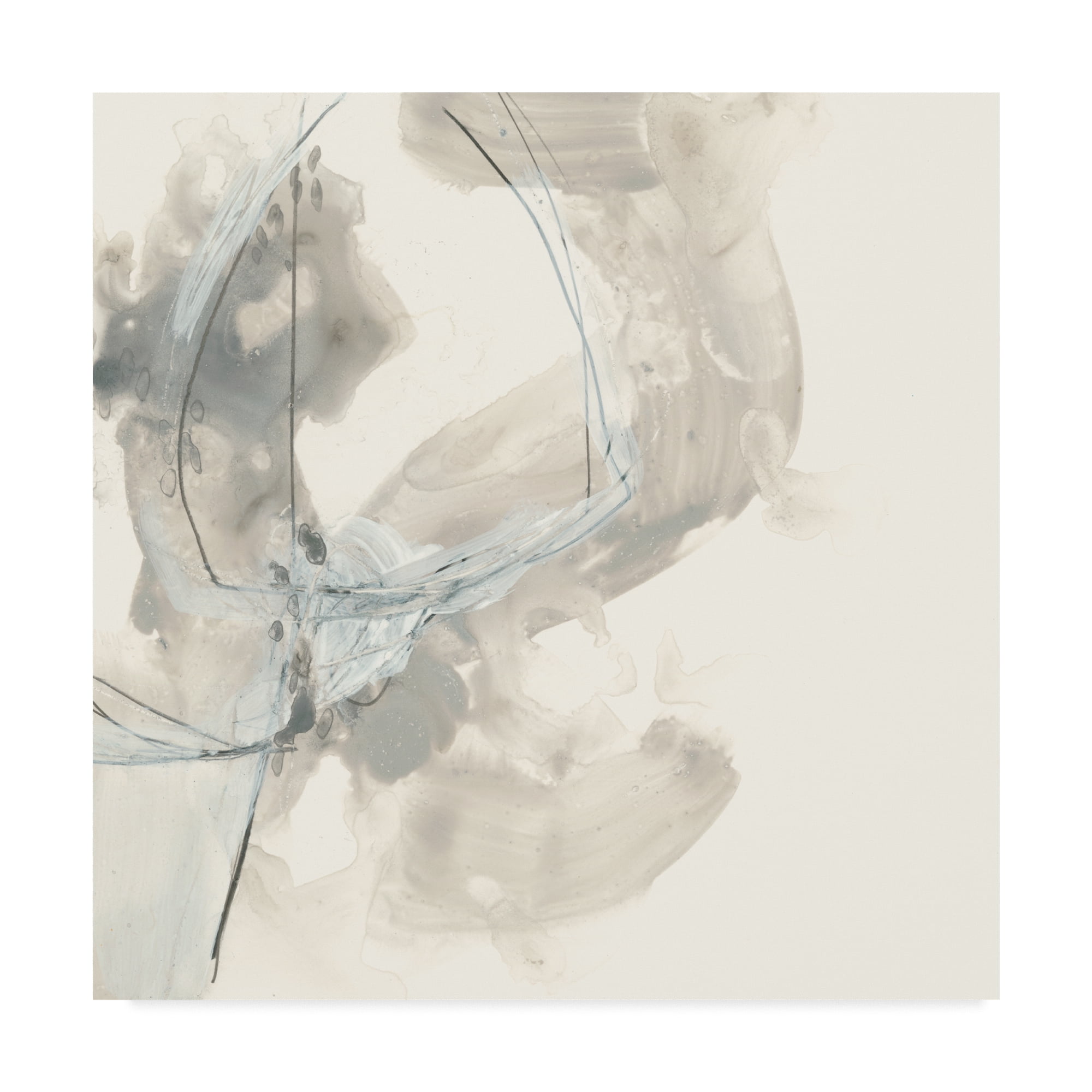 Trademark Fine Art 'Divination I' Canvas Art by June Erica Vess