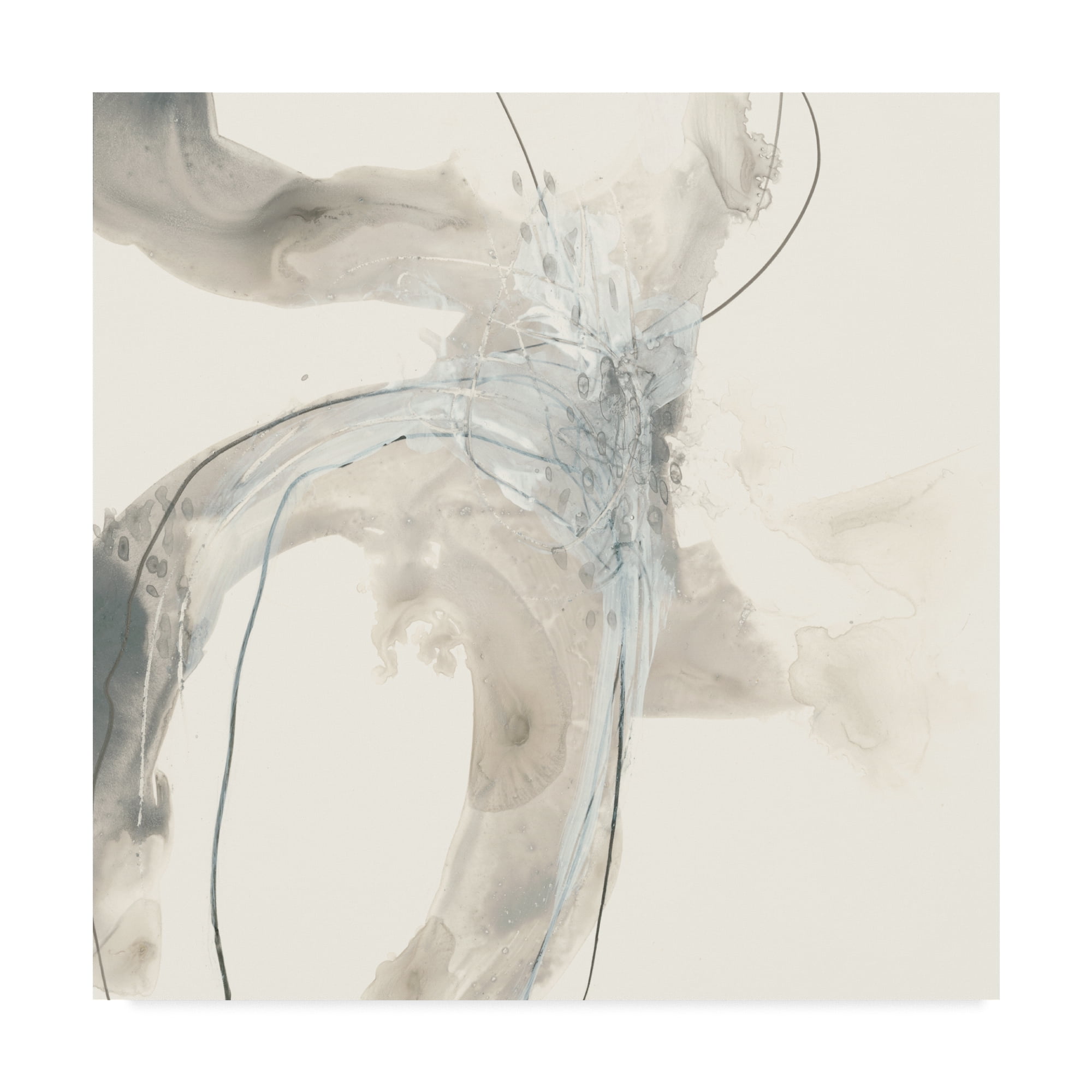 Trademark Fine Art 'Divination II' Canvas Art by June Erica Vess