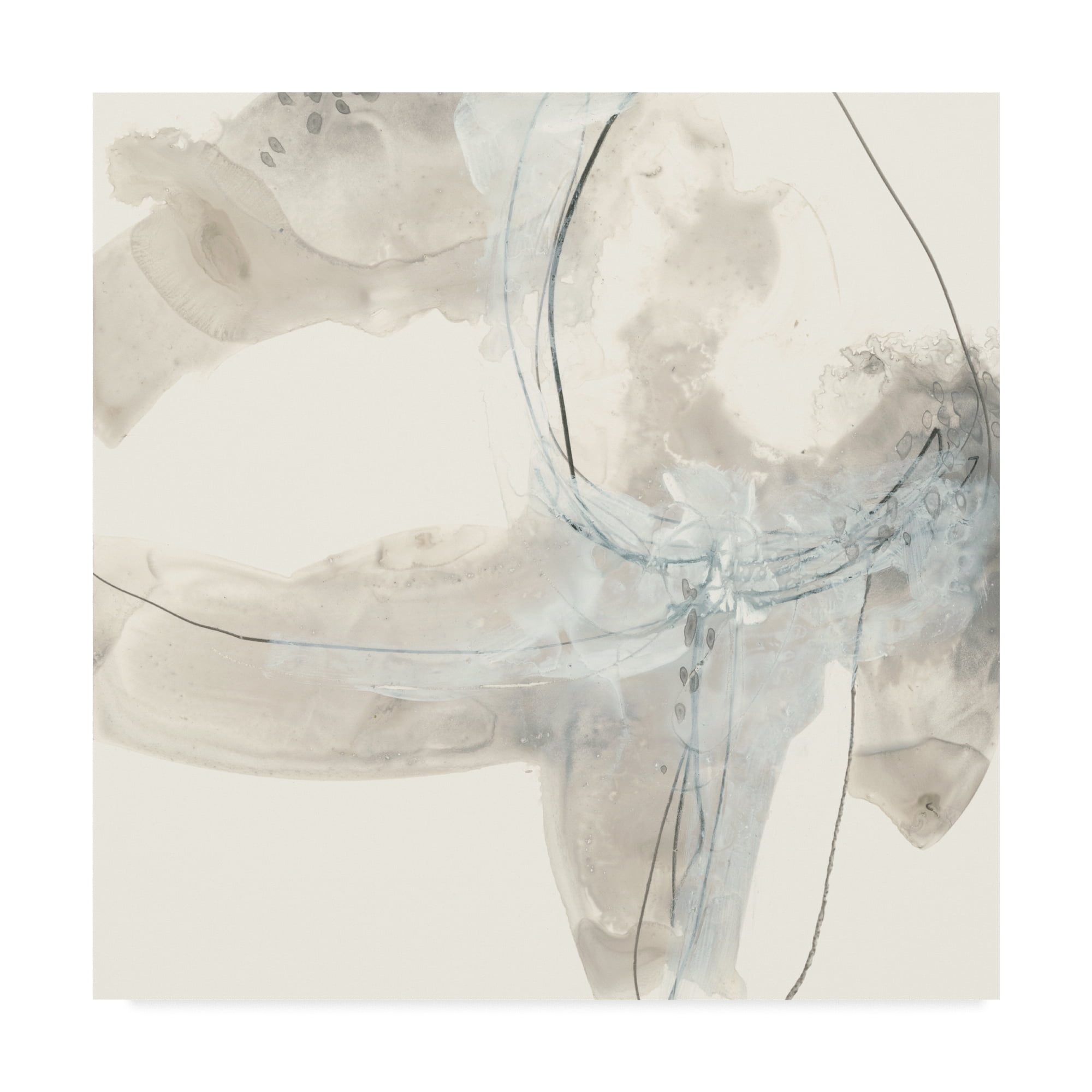 Trademark Fine Art 'Divination IV' Canvas Art by June Erica Vess