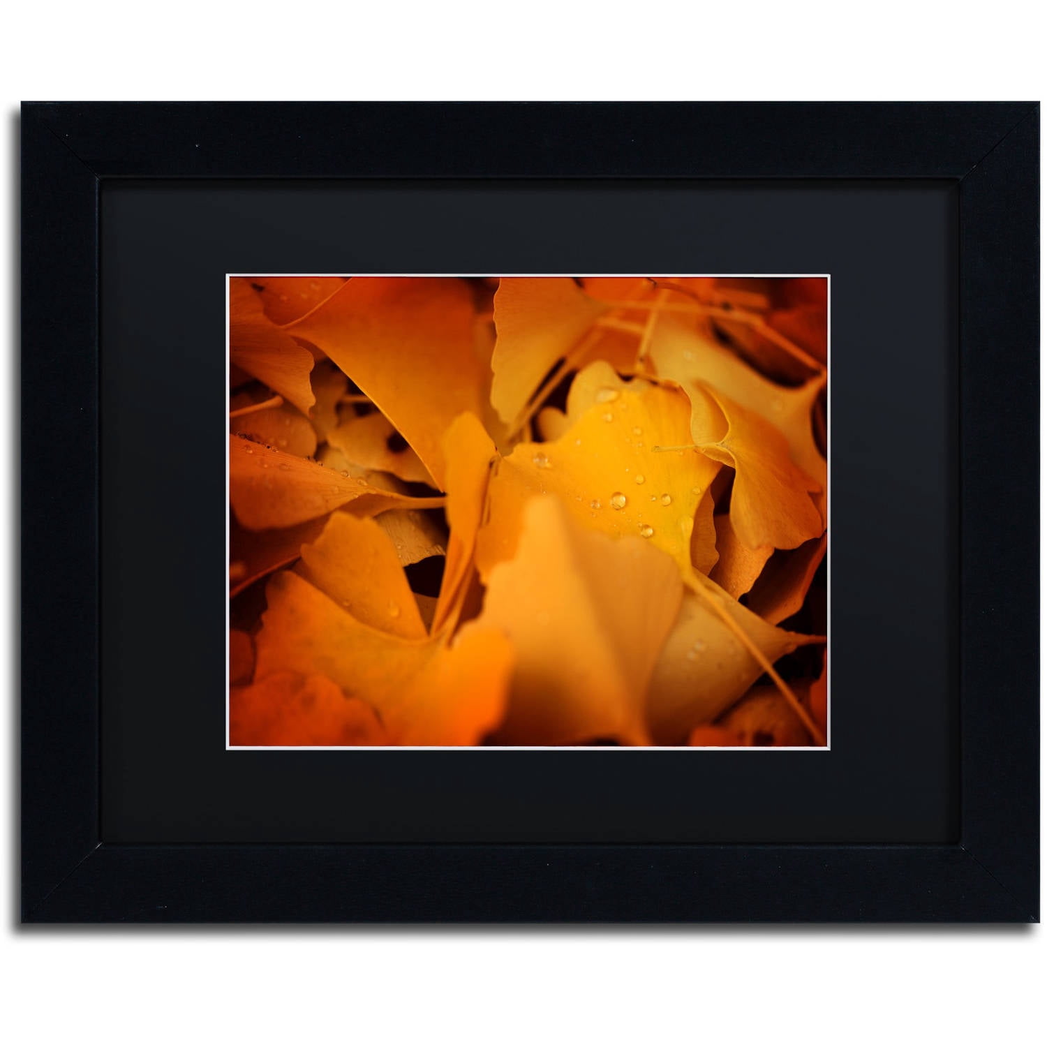 Trademark Fine Art "Divine Pearls" Canvas Art by Philippe Sainte-Laudy Black Matte, Black Frame