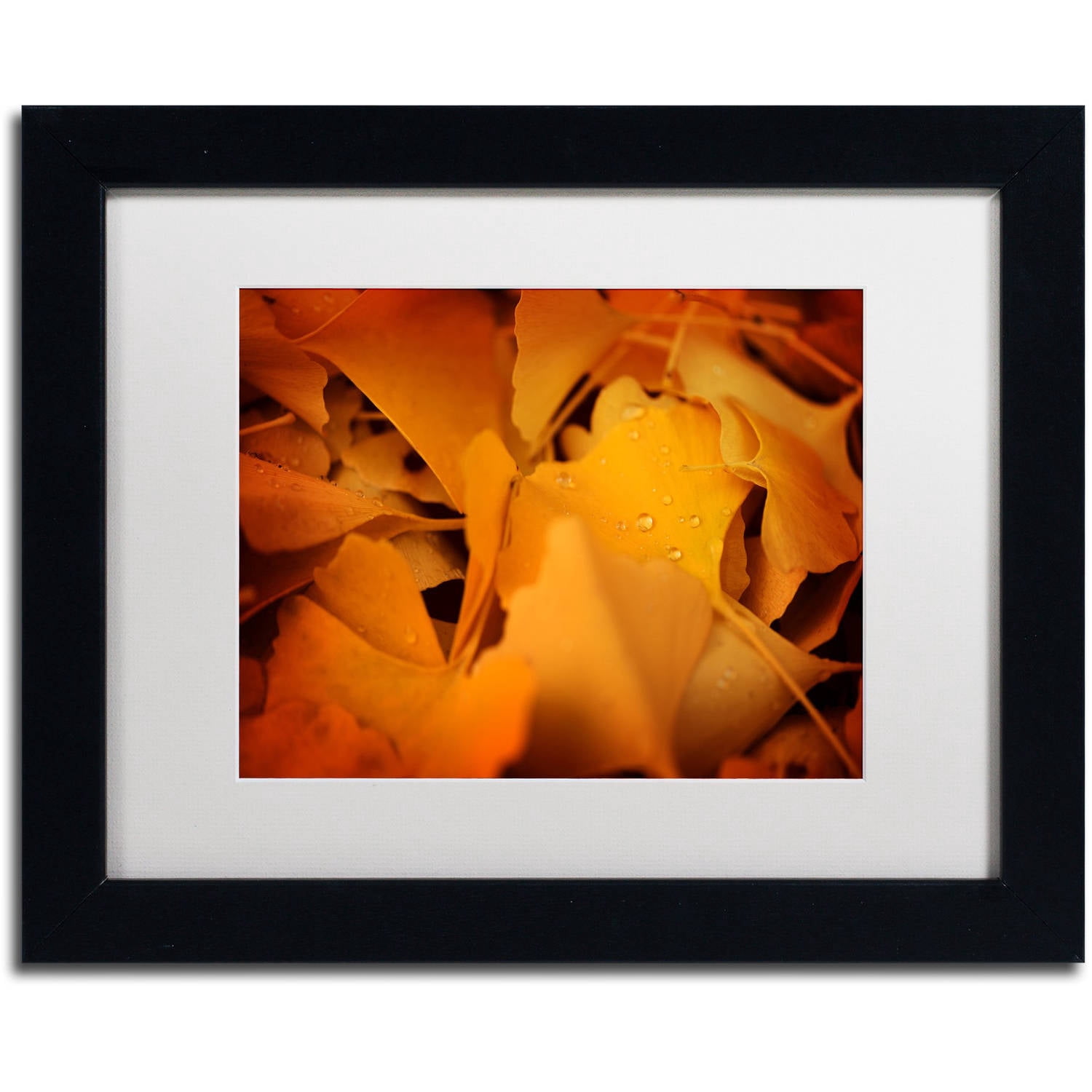 Trademark Fine Art "Divine Pearls" Canvas Art by Philippe Sainte-Laudy White Matte, Black Frame