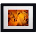 thumbnail image 1 of Trademark Fine Art "Divine Pearls" Canvas Art by Philippe Sainte-Laudy White Matte, Black Frame, 1 of 4