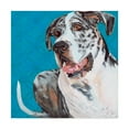 thumbnail image 1 of Trademark Fine Art 'Dlynns Dogs Apollo' Canvas Art by Dlynn Roll, 1 of 4