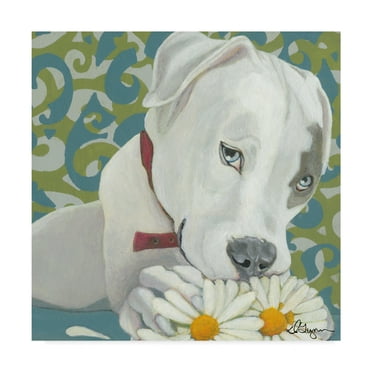 Trademark Fine Art 'Dlynns Dogs Patch' Canvas Art by Dlynn Roll