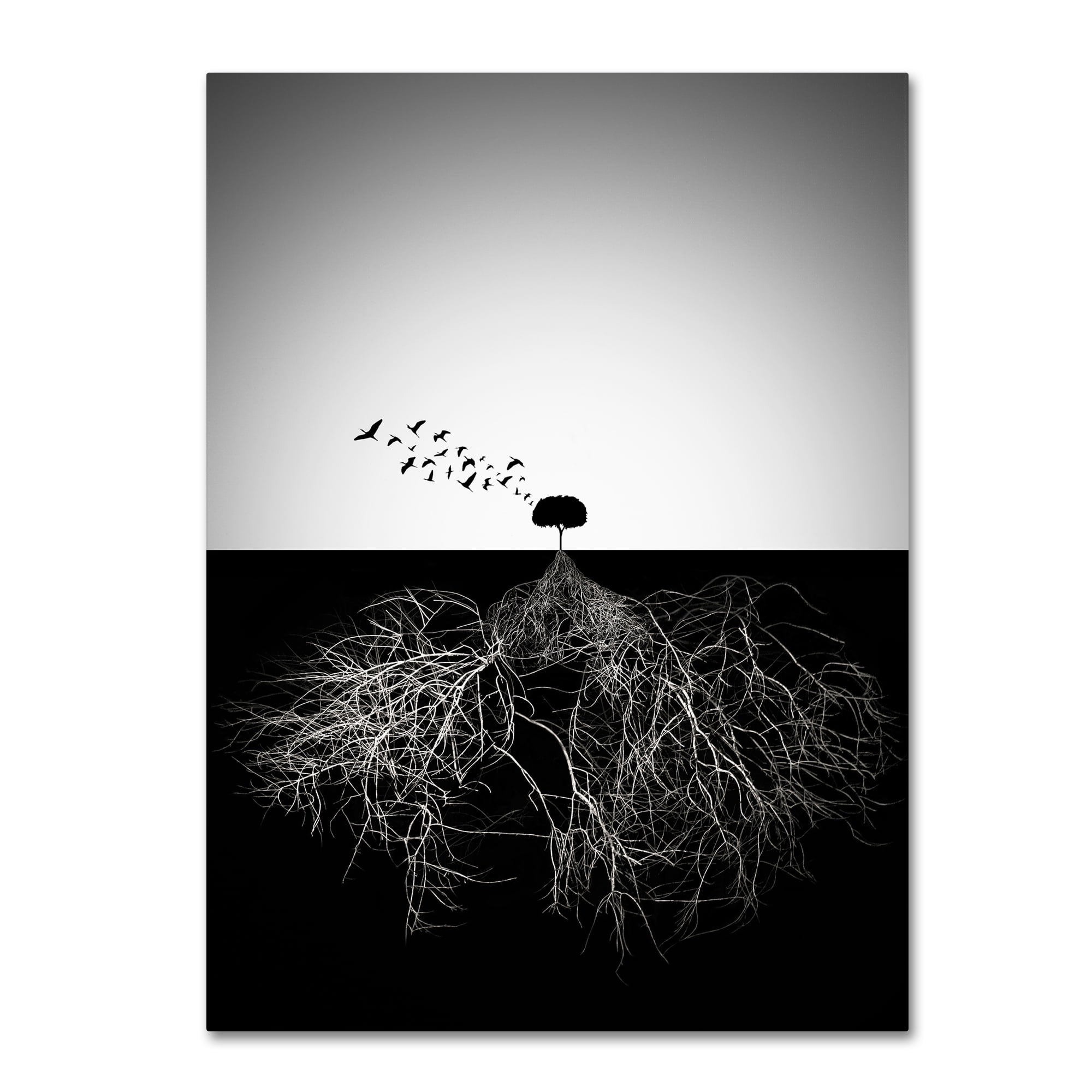 Trademark Fine Art 'Do Not Judge According To Appearance II' Canvas Art by Sourig Arslanian