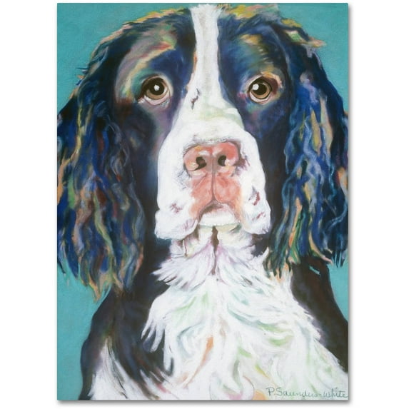 Trademark Fine Art "Dodger" Canvas Art by Pat Saunders-White