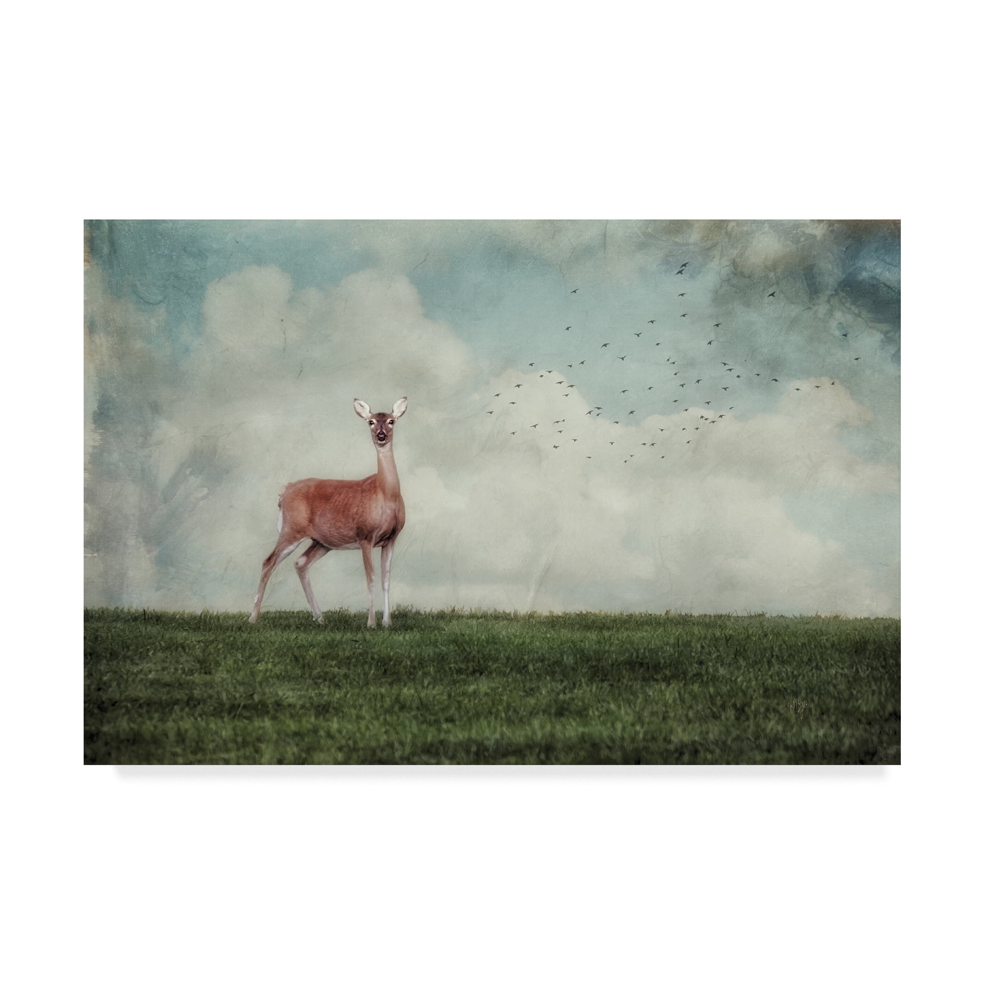 Trademark Fine Art 'Doe in the Meadow' Canvas Art by Lois Bryan