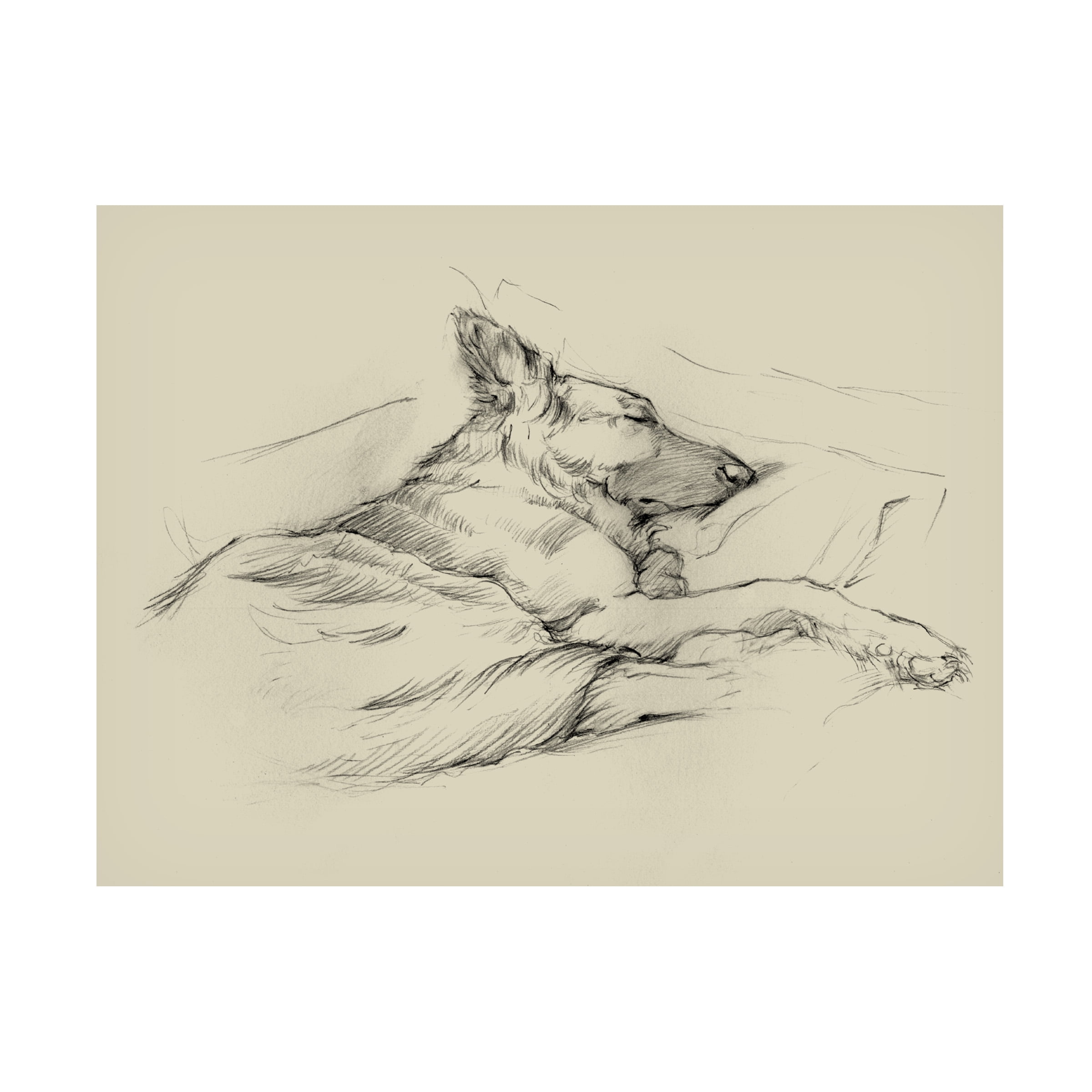 Trademark Fine Art Ethan Harper Dog Days Iv Canvas Wall Art - 35x47