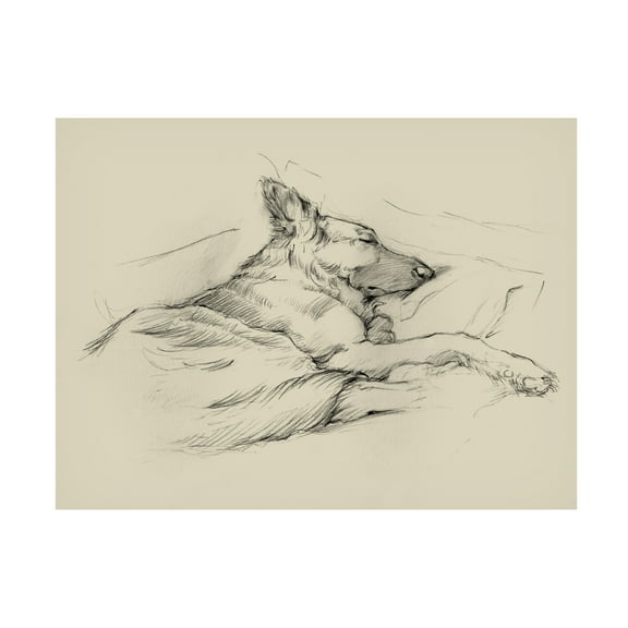 Trademark Fine Art Ethan Harper Dog Days Iv Canvas Wall Art - 35x47