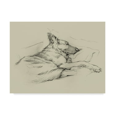 Trademark Fine Art 'Dog Days IV' Canvas Art by Ethan Harper