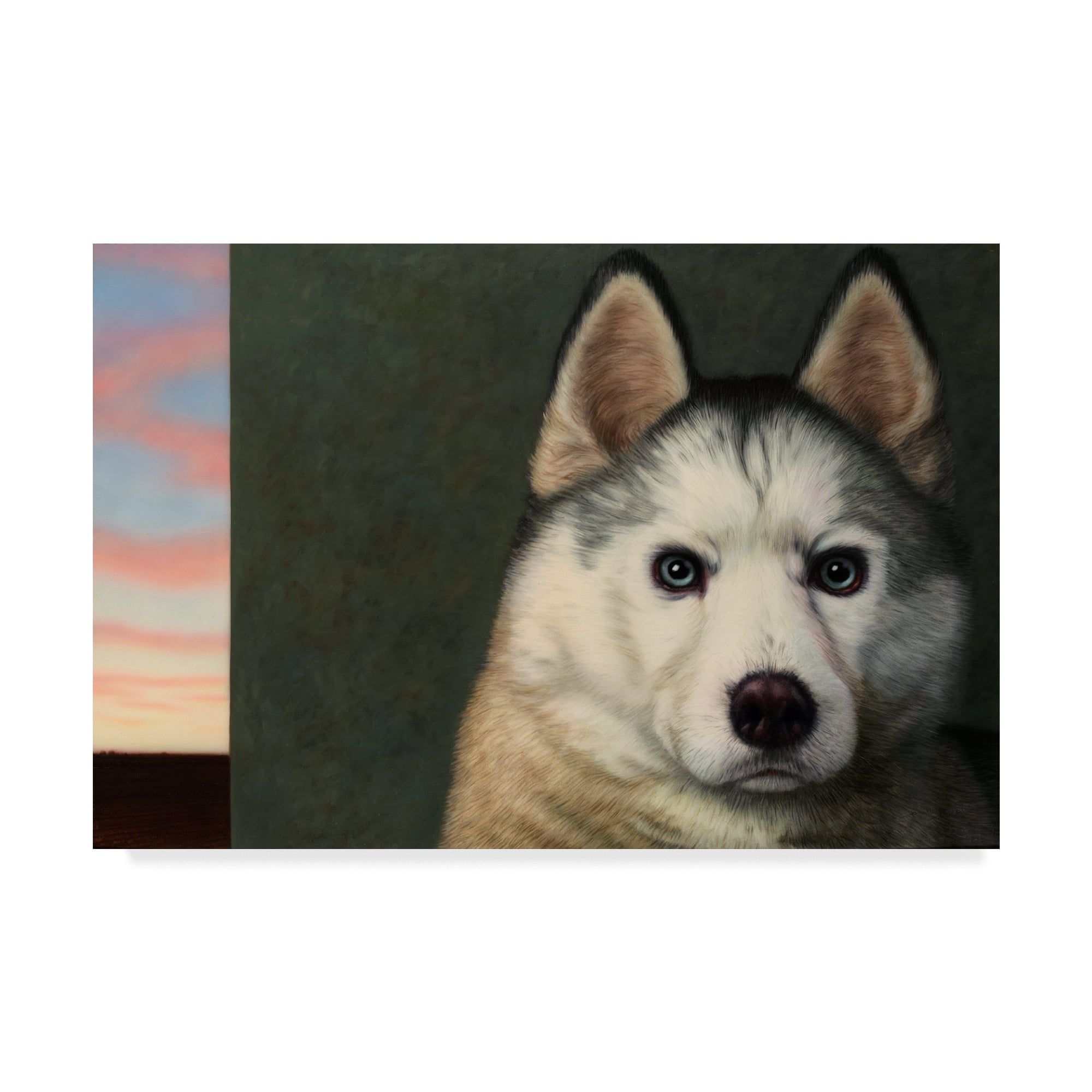 Trademark Fine Art 'Dog Nature' Canvas Art by James W. Johnson