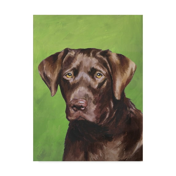 Trademark Fine Art 'Dog Portrait Chocolate' Canvas Art by Jill Sands
