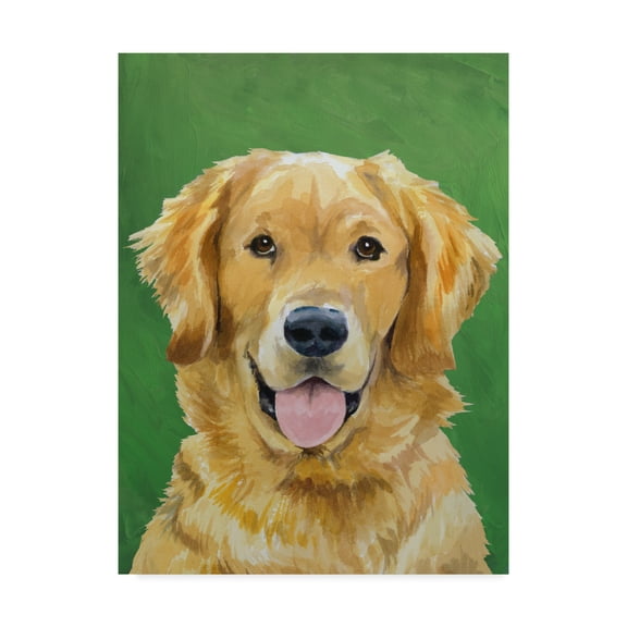 Trademark Fine Art 'Dog Portrait Golden' Canvas Art by Jill Sands