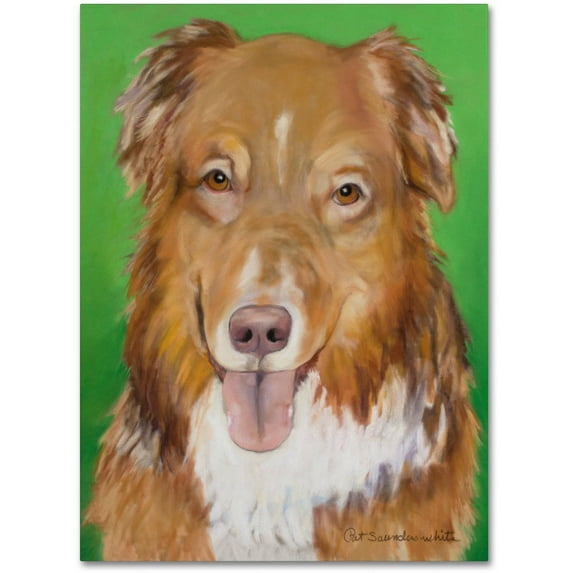 Trademark Fine Art "Dog on Green" Canvas Art by Pat Saunders-White