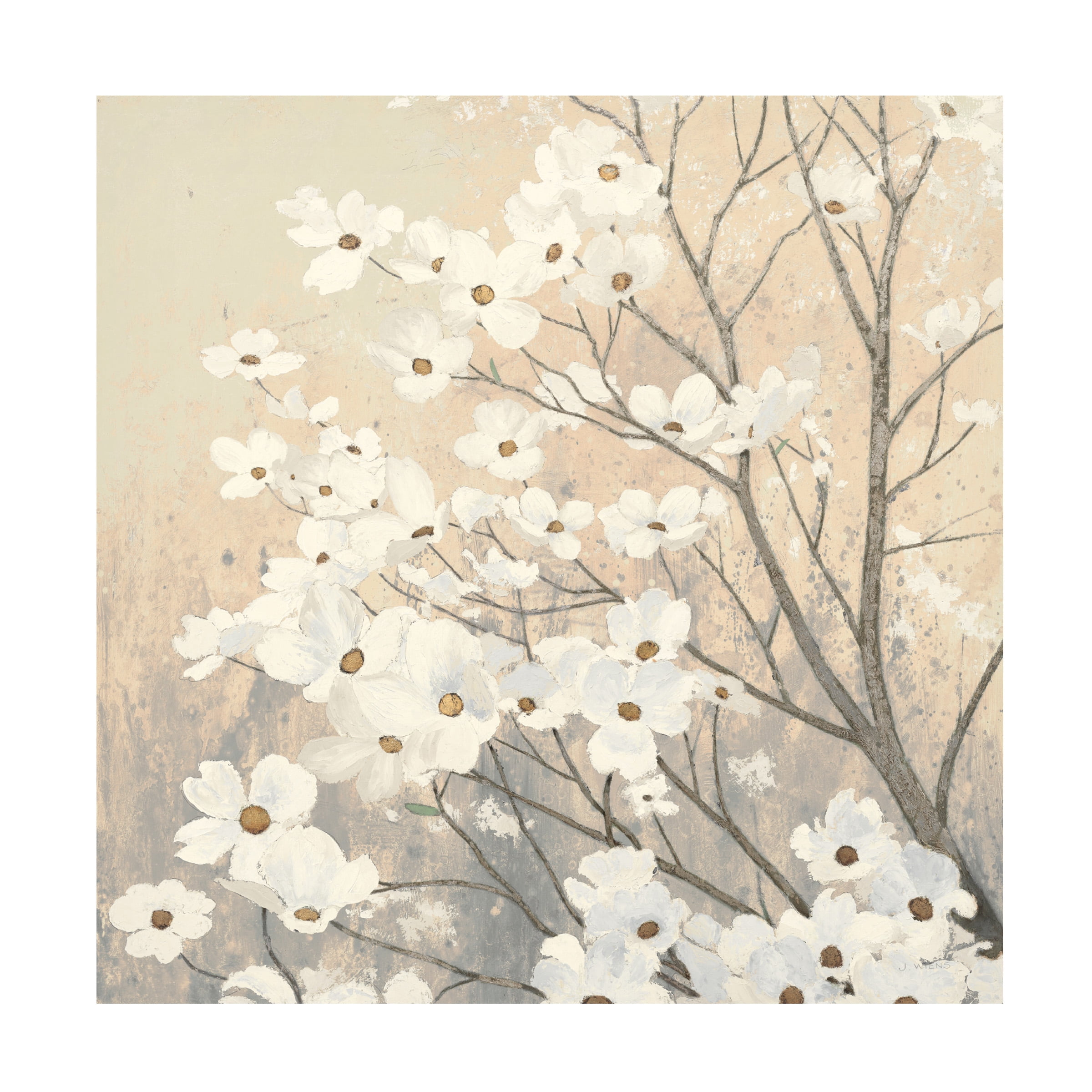 Trademark Fine Art 'Dogwood Blossoms II Neutral' Canvas Art by James Wiens