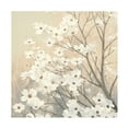 thumbnail image 1 of Trademark Fine Art 'Dogwood Blossoms II Neutral' Canvas Art by James Wiens, 1 of 4