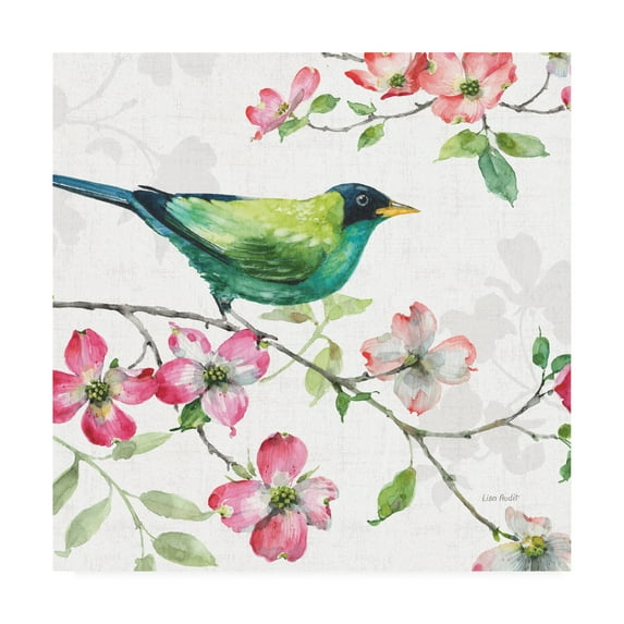 Trademark Fine Art 'Dogwood Garden II' Canvas Art by Lisa Audit