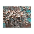 thumbnail image 1 of Trademark Fine Art 'Dogwood Spring II' Canvas Art by Sharon Chandler, 1 of 4