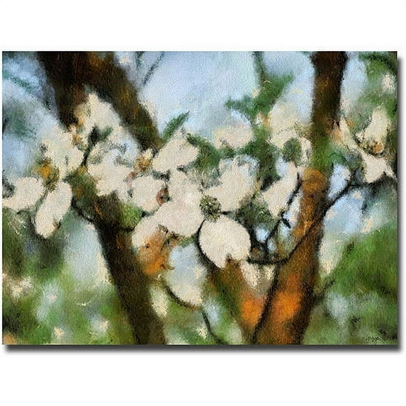 Trademark Fine Art "Dogwood Tree" Canvas Wall Art by Lois Bryan