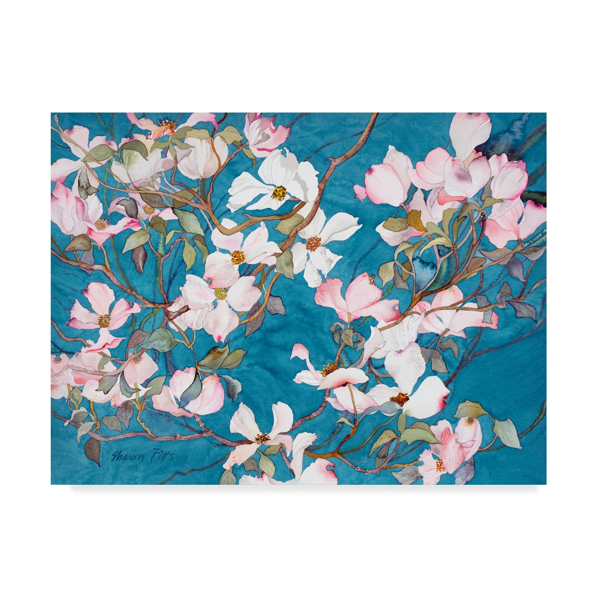 Trademark Fine Art 'Dogwoods Pink' Canvas Art by Sharon Pitts