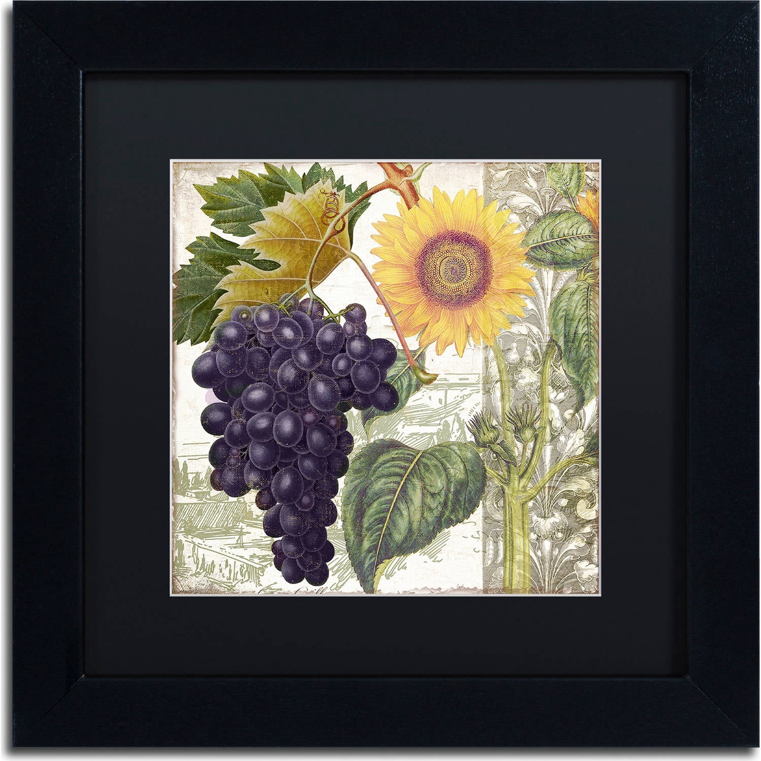 Trademark Fine Art "Dolcetto I" Canvas Art by Color Bakery, Black Matte, Black Frame