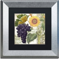 Trademark Fine Art "Dolcetto I" Canvas Art by Color Bakery, Black Matte, Silver Frame