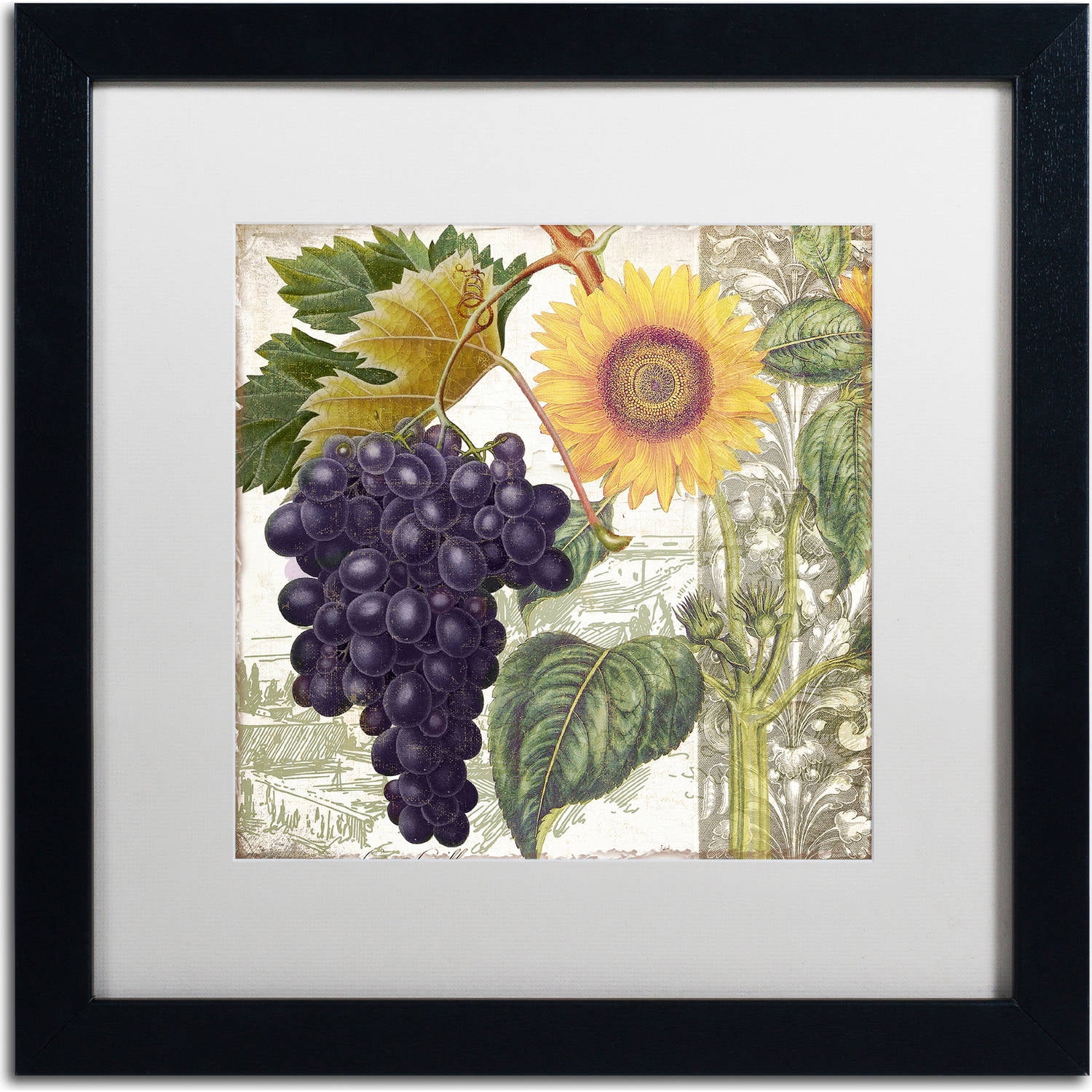 Trademark Fine Art "Dolcetto I" Canvas Art by Color Bakery, White Matte, Black Frame