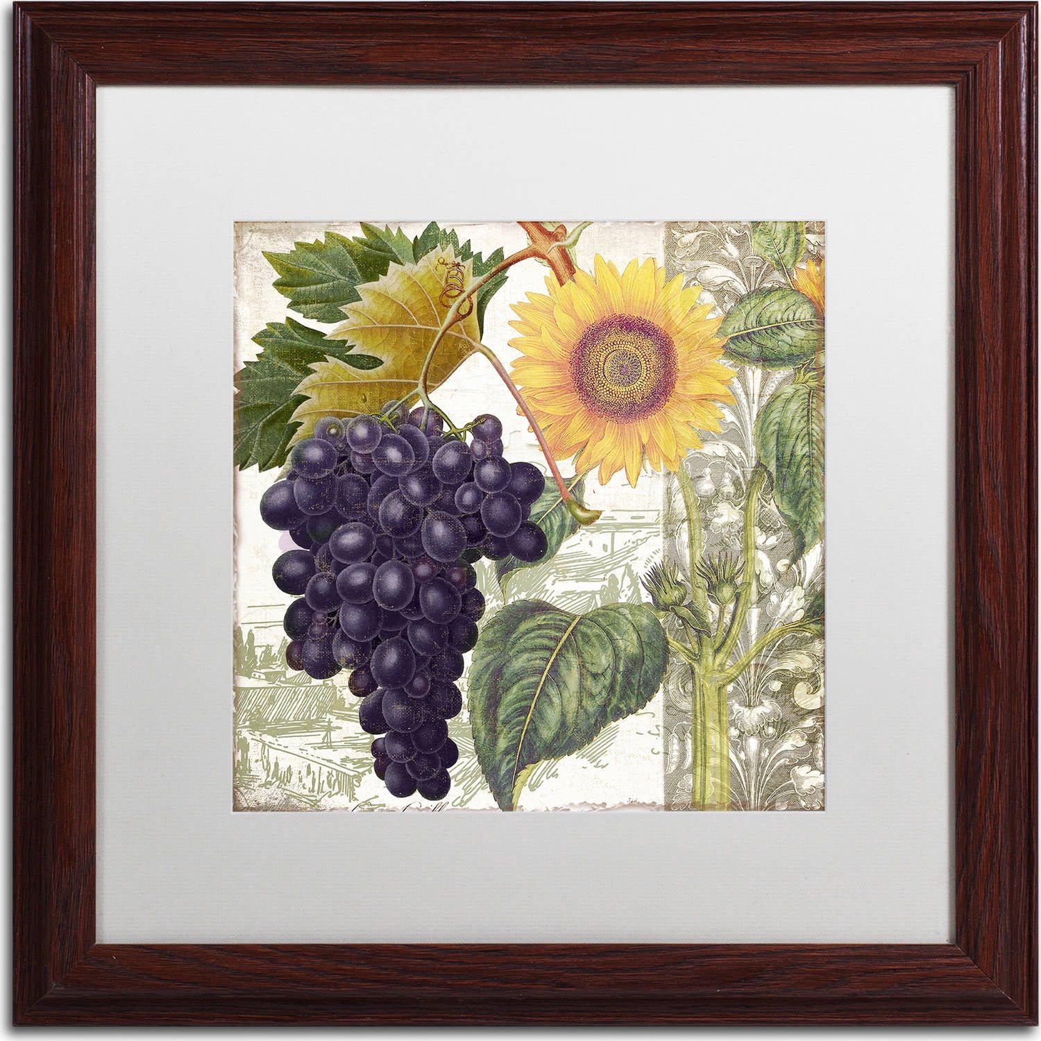 Trademark Fine Art "Dolcetto I" Canvas Art by Color Bakery, White Matte, Wood Frame