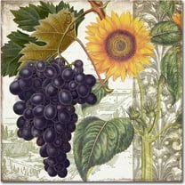 Trademark Fine Art "Dolcetto I" Canvas Art by Color Bakery