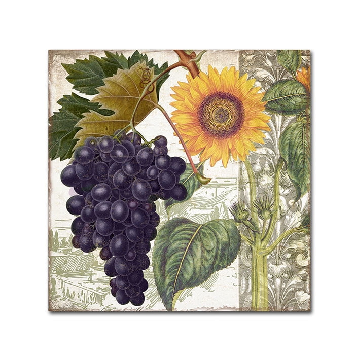 Trademark Fine Art "Dolcetto I" Canvas Art by Color Bakery