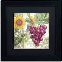 Trademark Fine Art "Dolcetto II" Canvas Art by Color Bakery, Black Matte, Black Frame
