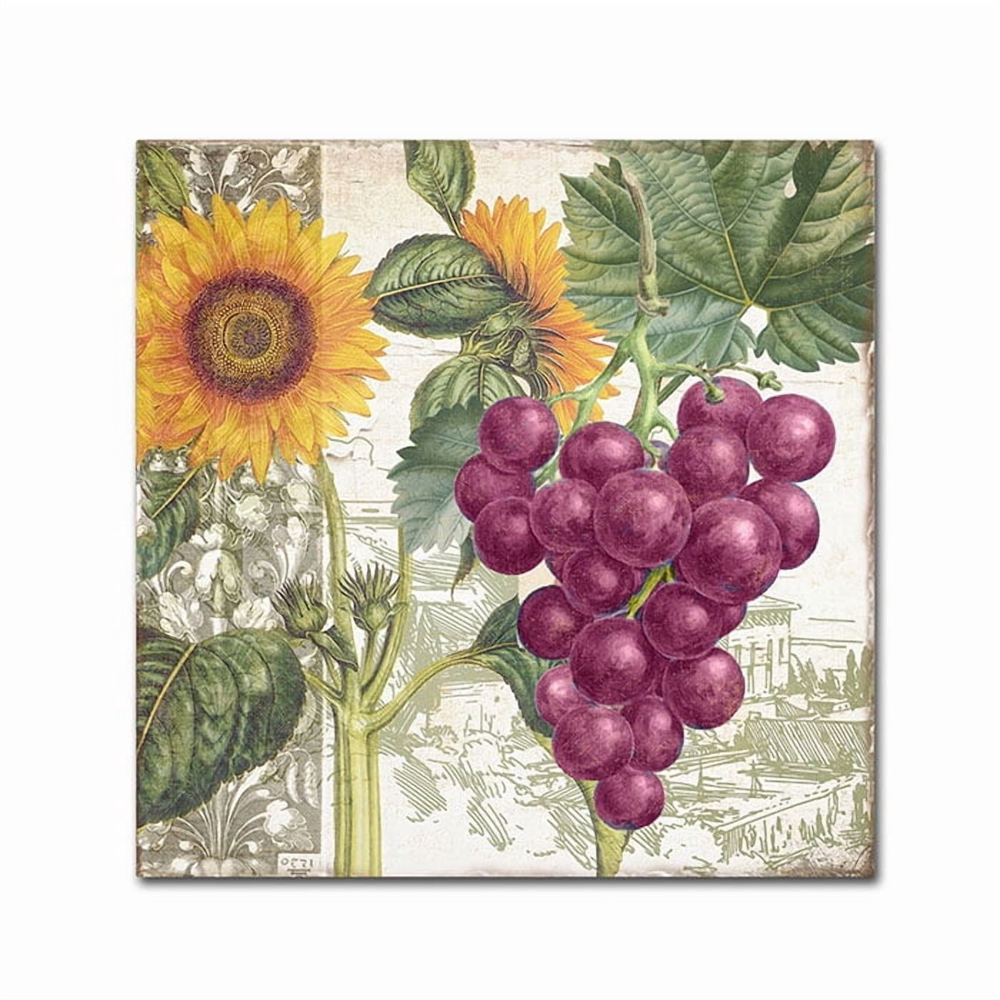 Trademark Fine Art "Dolcetto II" Canvas Art by Color Bakery