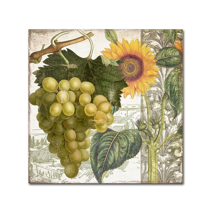 Trademark Fine Art "Dolcetto III" Canvas Art by Color Bakery