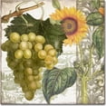 thumbnail image 1 of Trademark Fine Art "Dolcetto III" Canvas Art by Color Bakery, 1 of 1