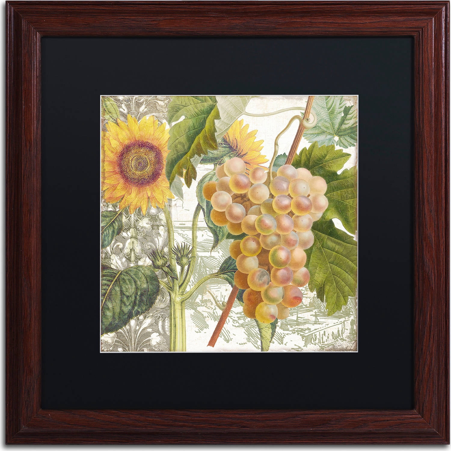 Trademark Fine Art "Dolcetto IV" Canvas Art by Color Bakery, Black Matte, Wood Frame