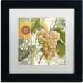 thumbnail image 1 of Trademark Fine Art "Dolcetto IV" Canvas Art by Color Bakery, White Matte, Black Frame, 1 of 4