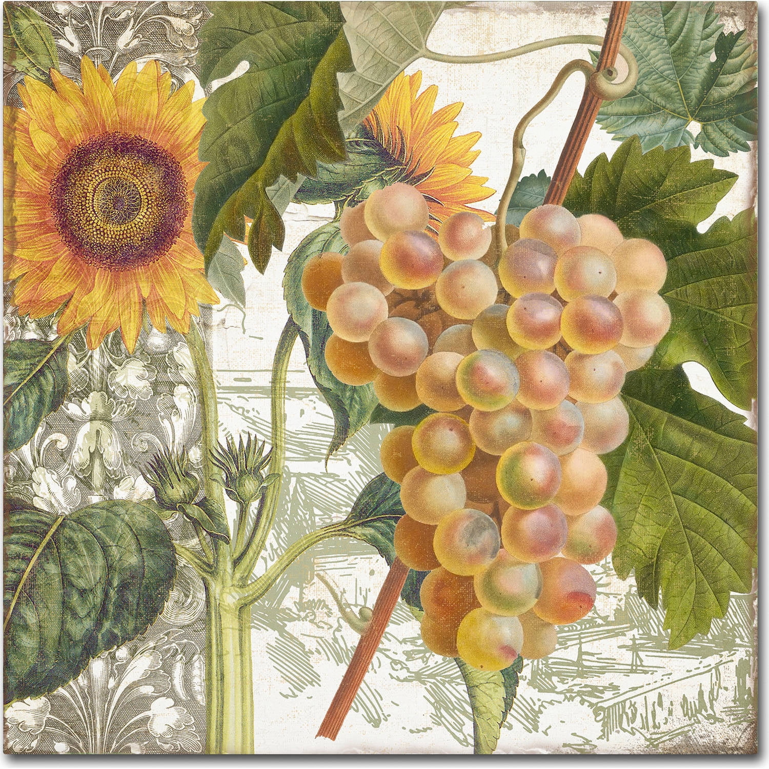 Trademark Fine Art "Dolcetto IV" Canvas Art by Color Bakery