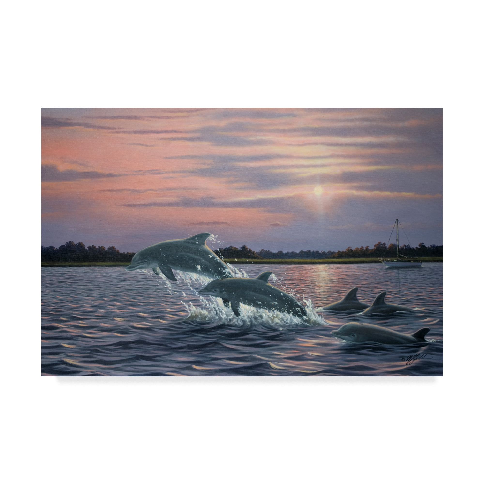 Trademark Fine Art 'Dolphins' Canvas Art by Wilhelm Goebel