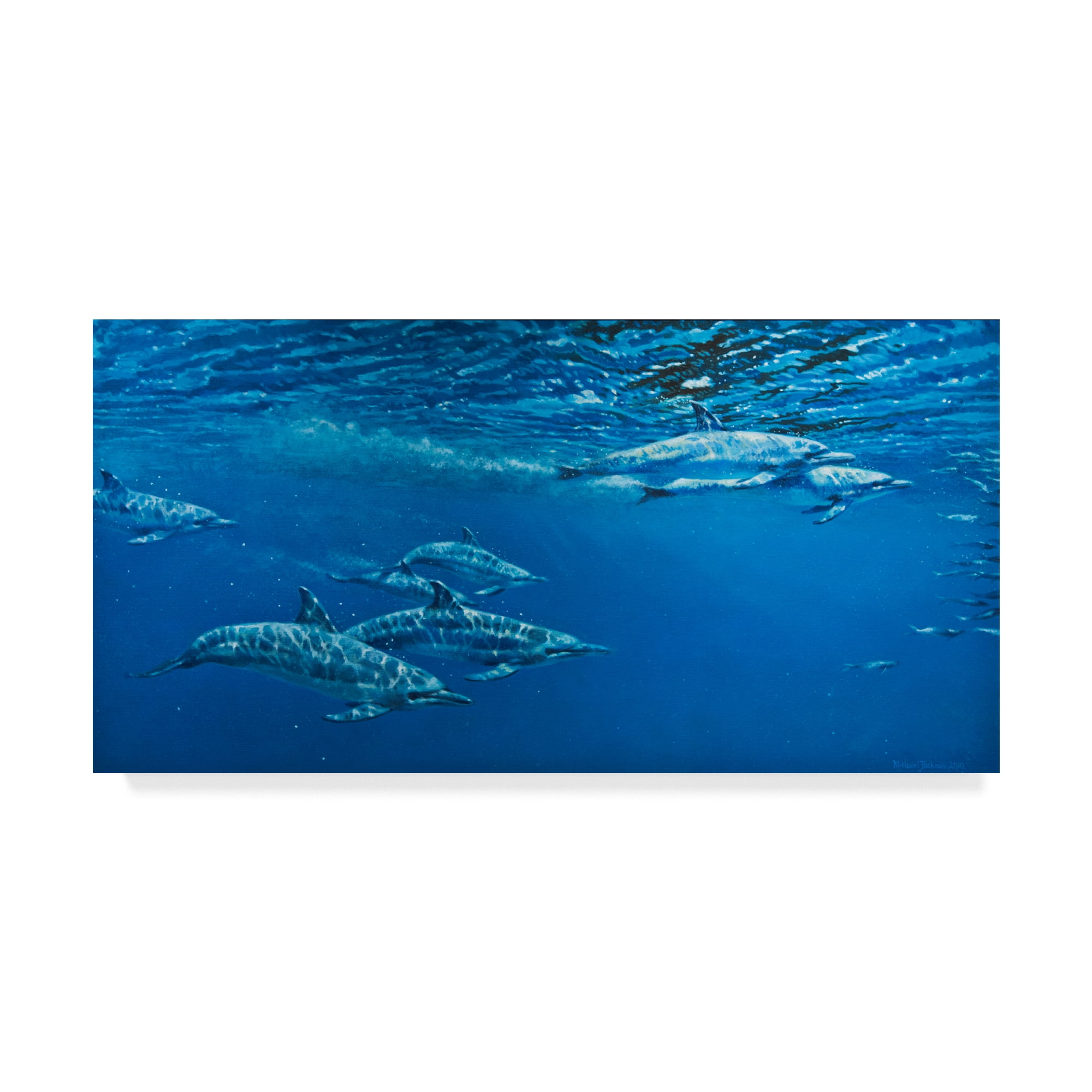 Trademark Fine Art 'Dolphins In Open Water' Canvas Art by Michael Jackson