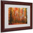 thumbnail image 1 of Trademark Fine Art "Dominated" Canvas Art by Philippe Sainte-Laudy, Wood Frame, 1 of 3