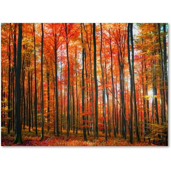 Trademark Fine Art "Dominated" Canvas Art by Philippe Sainte-Laudy