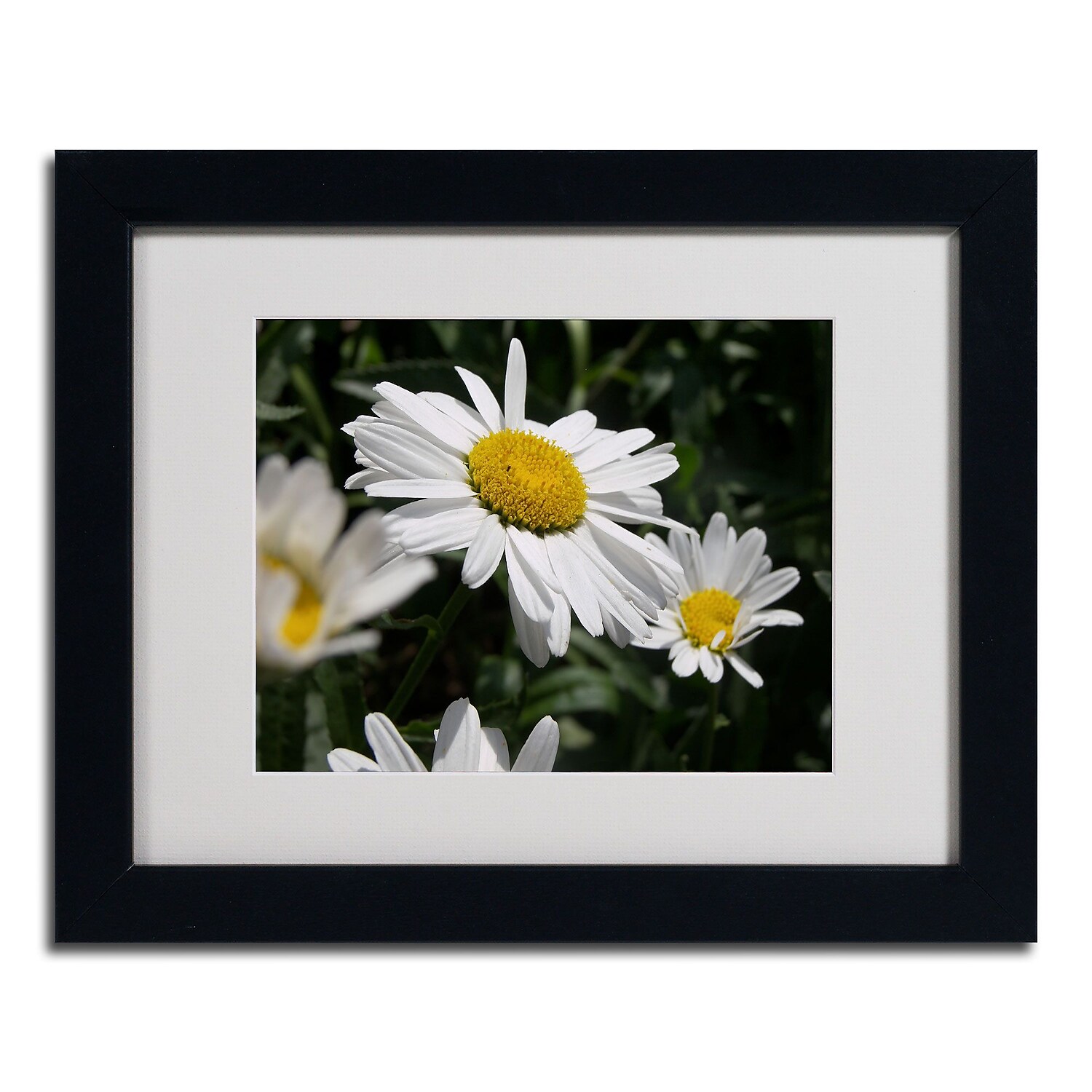 Trademark Fine Art "Dominating Beauty" Canvas Art by Monica Fleet, Black Frame
